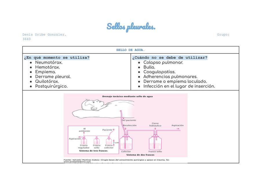 Sellos Pleurales