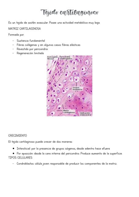 Tejido Cartilaginoso