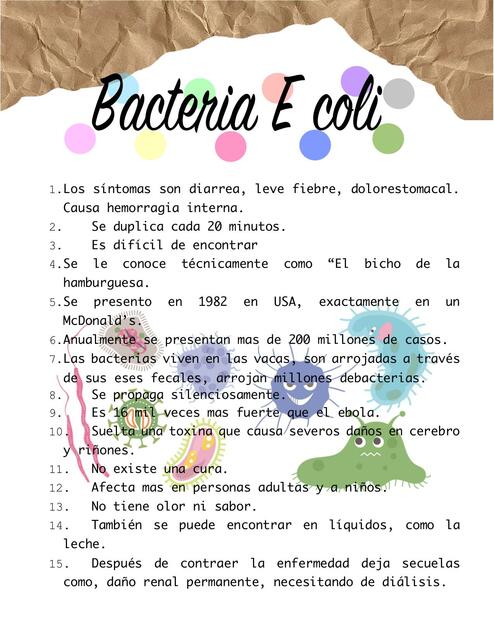 Bacteria E coli