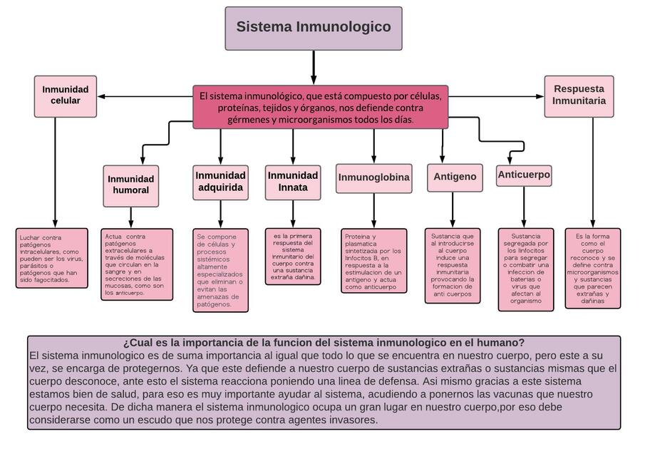 Sistema Inmunológico 