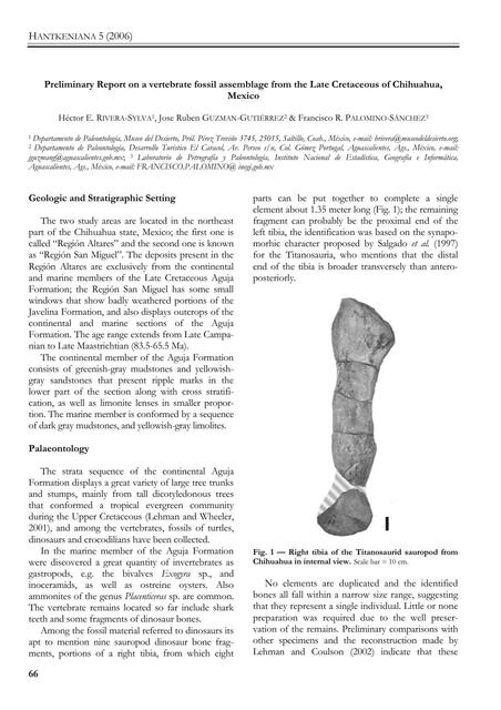 Preliminary Report on a vertebrate fossil assemblage from the Late Cretaceous of Chihuahua, Mexico