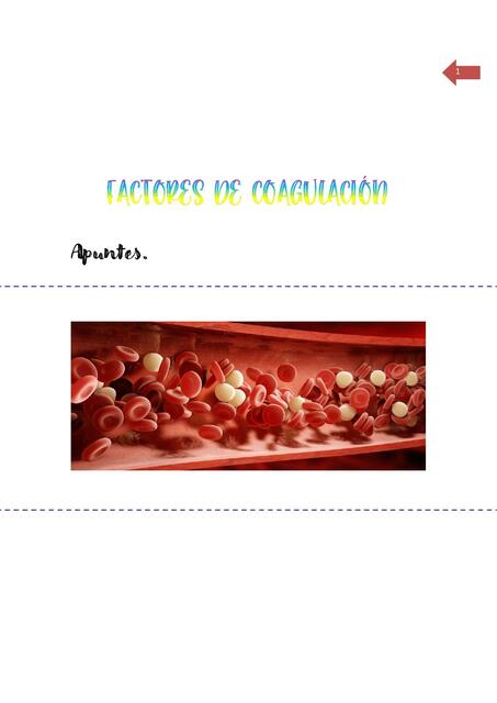Factores de Coagulación 