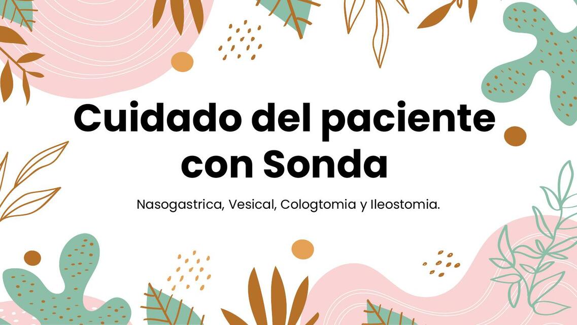 Cuidados del Paciente con Sonda