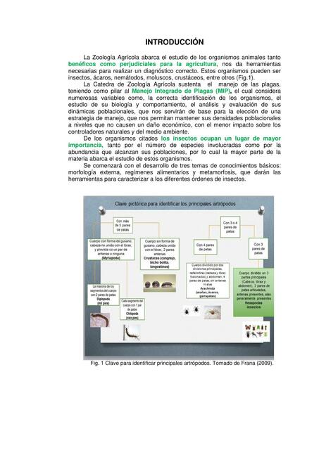 Morfología externa 