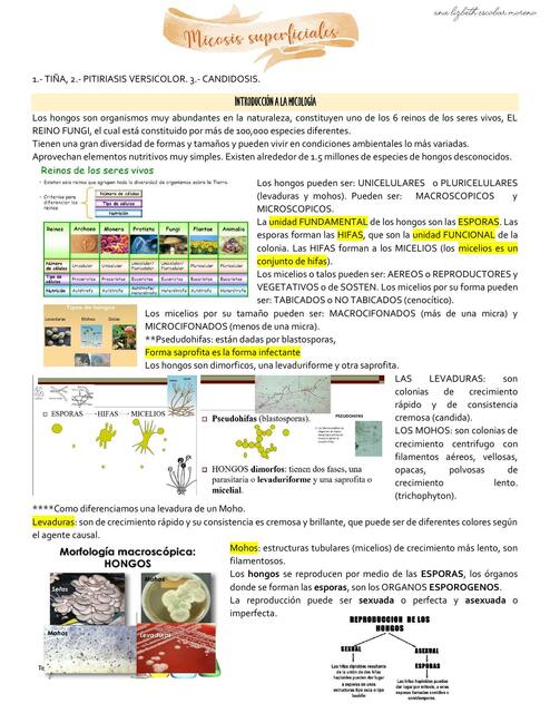 Micosis Superficiales