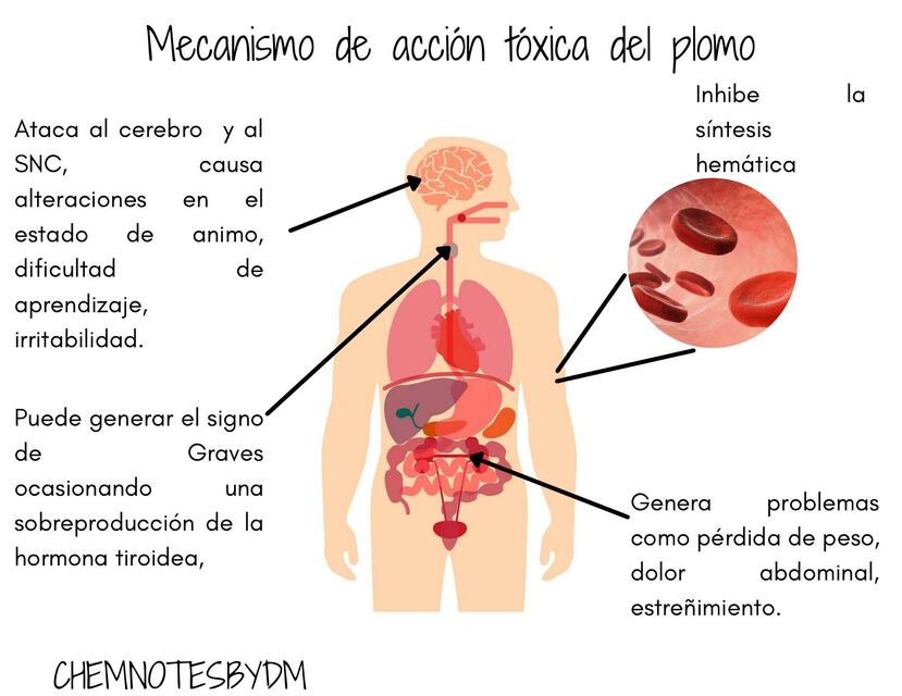 Mecanismo de acción tóxica del plomo Chemnotes by DM. uDocz Mecanismo de acción tóxica del plomo Chemnotes by DM. uDocz