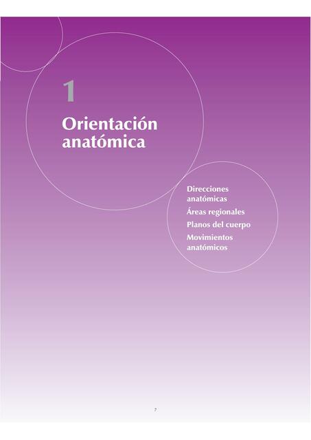 Orientación Anatómica