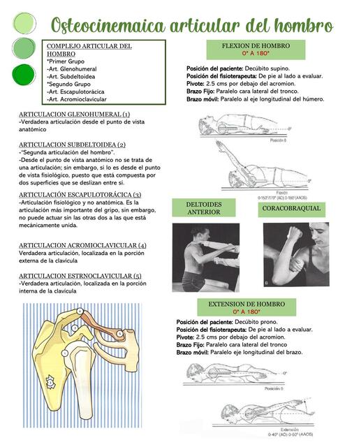 Osteocinemática Articular del Hombro