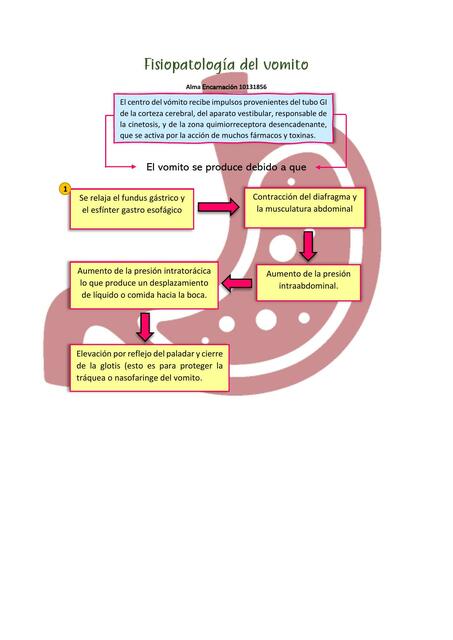 Fisiopatología del Vomito