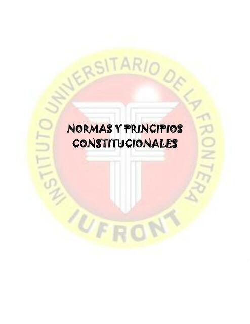 Normas y Principios Constitucionales