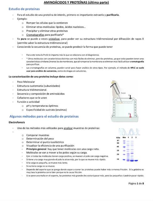 Aminoácidos y proteínas