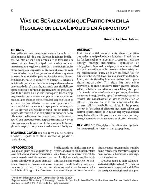 Vías de señalización que participan en la regulación de la lipólisis en adipocitos