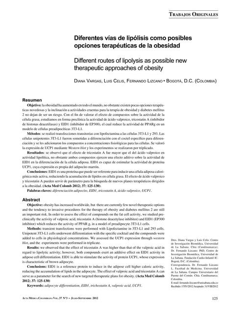 Diferentes vías de lipólisis como posibles opciones terapéuticas de la obesidad