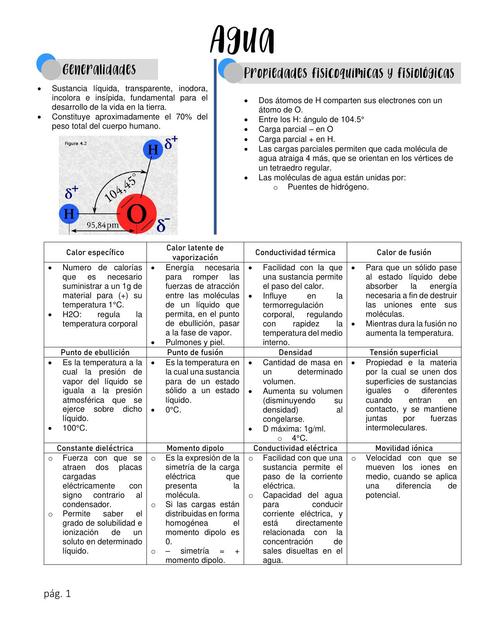 Agua y Electrolitos