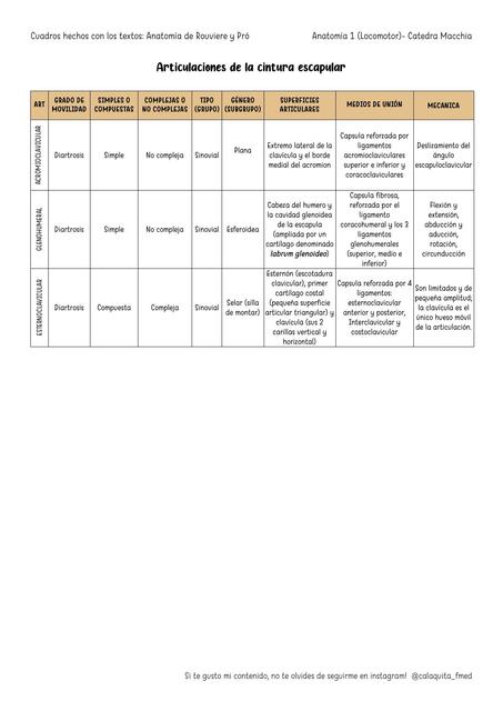 Articulaciones de la cintura escapular