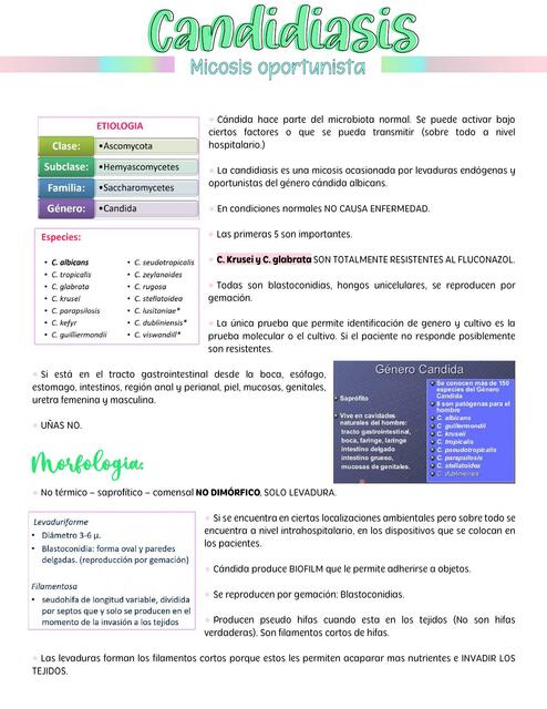 Micología Candidiasis