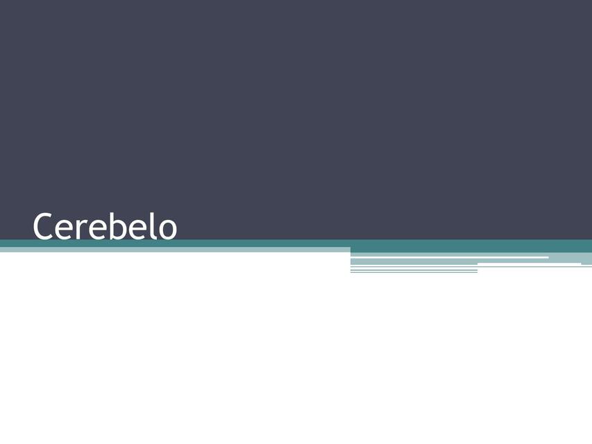 Cerebelo 