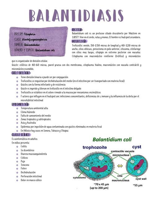 Balantidiasis