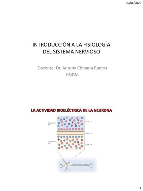 Introducción a la Fisiología del Sistema Nervioso 