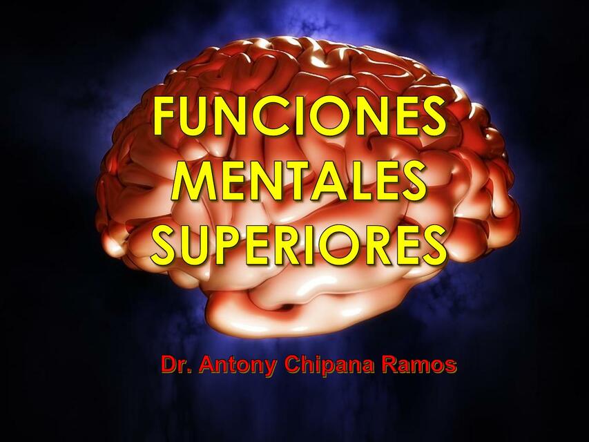 Funciones Mentales Superiores 