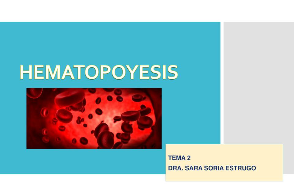 Hematopoyesis 