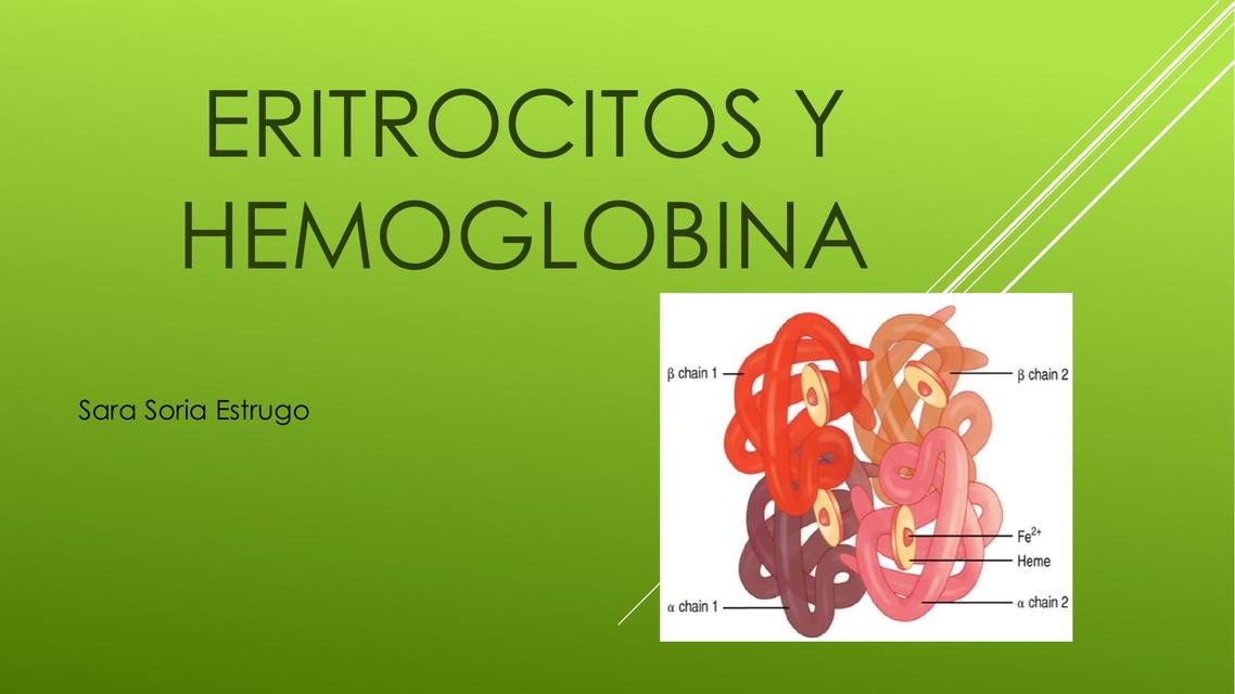 Eritrocitos y Hemoglobina 