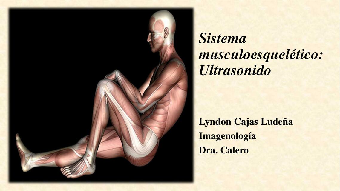 Sistema musculoesquelético: Ultrasonido