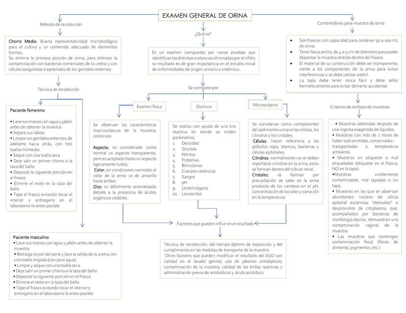 Mapas Conceptuales EGO e Inflamación