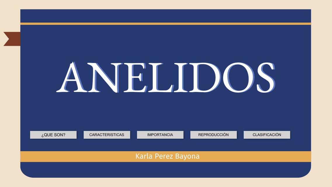 Anélidos 