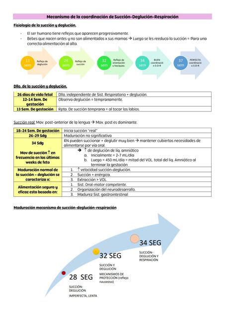 Mecanismo de la Coordinación de Succión-Deglución-Respiración