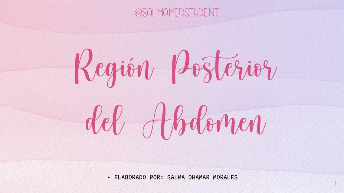 Región Posterior del Abdomen 