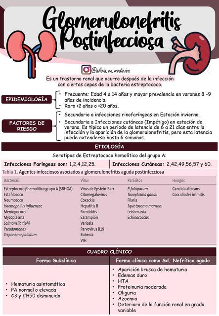 Flashcards de Glomerulonefritis postinfecciosa Pediatría | Por Alicia