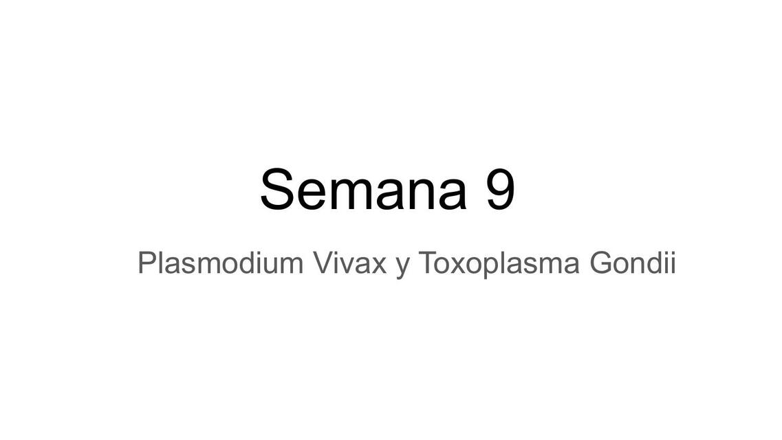 Plasmodium Vivax y Toxoplasma Gondii 