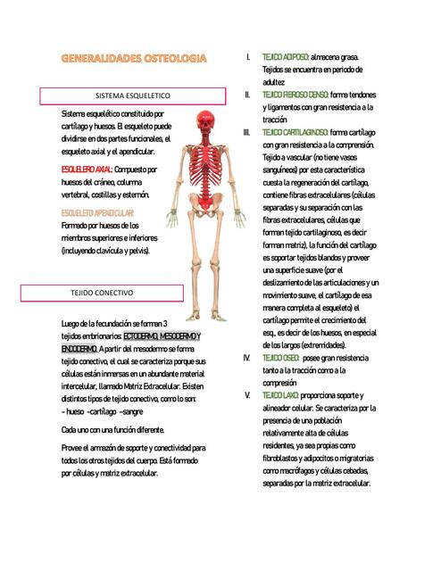 Generalidades de Osteología