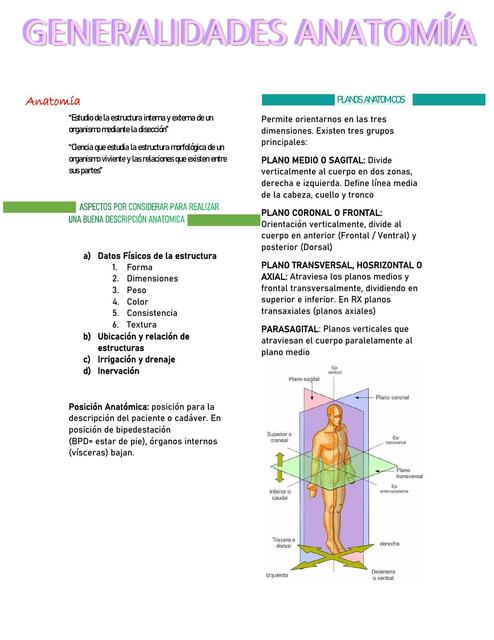 Posiciones Anatómicas y Terminología