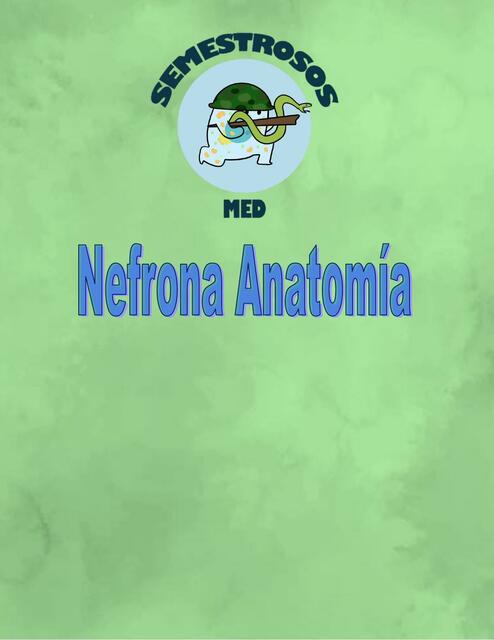 Nefrona