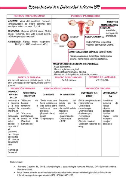 Historia Natural de la Enfermedad Infección VPH 