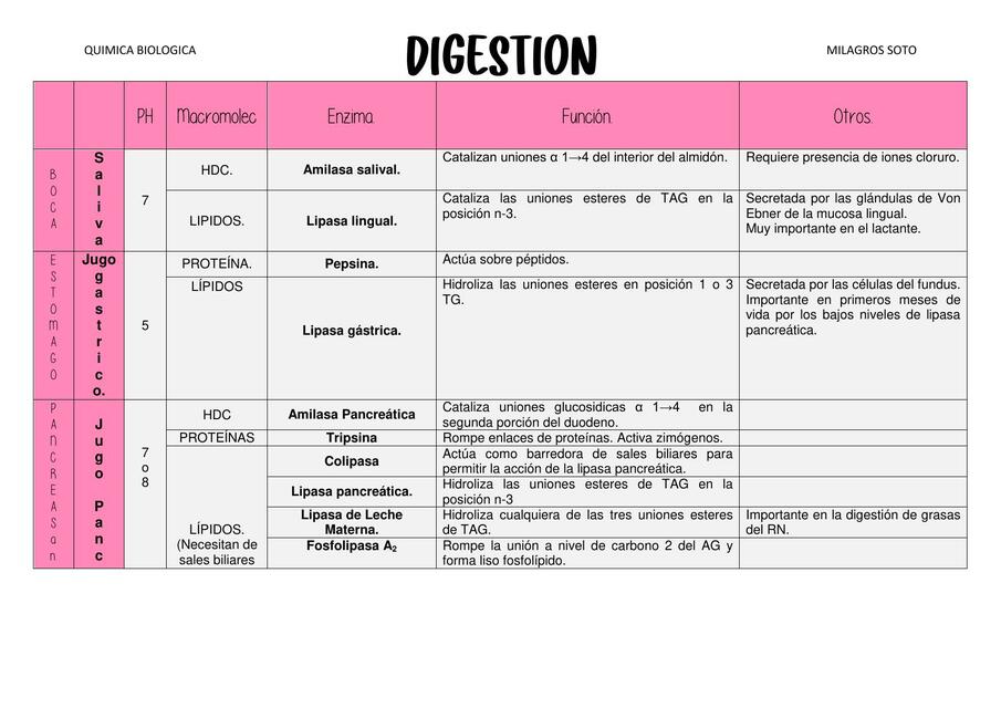 Digestión y Absorción de Macronutrientes (Química Biológica)