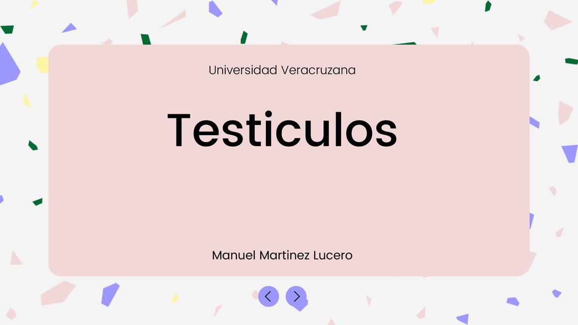 Testículos 