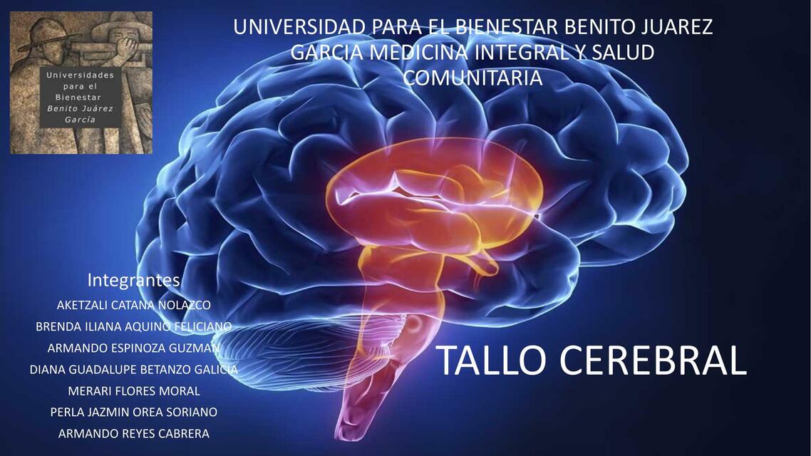 Tallo Cerebral