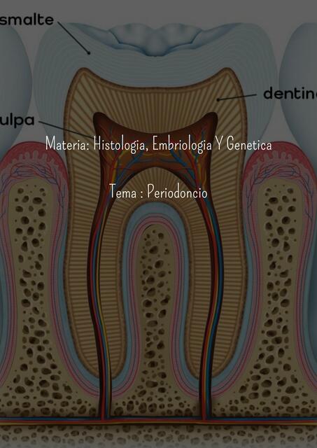 Trabajo de Odontología