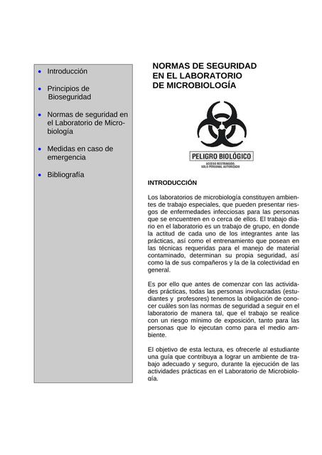 10 Normas de Bioseguridad