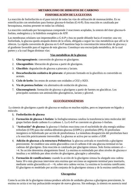 Metabolismo de Hidratos de Carbono