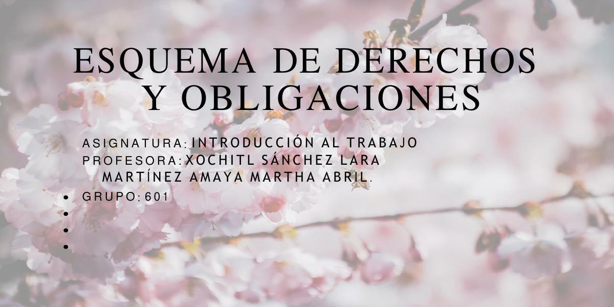 Derechos y obligaciones