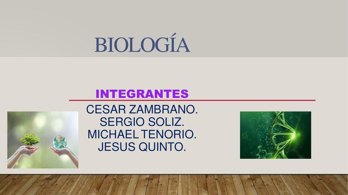 ¿Qué son los Carbohidratos?