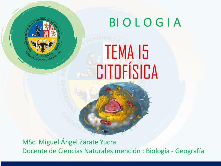 Citofísica