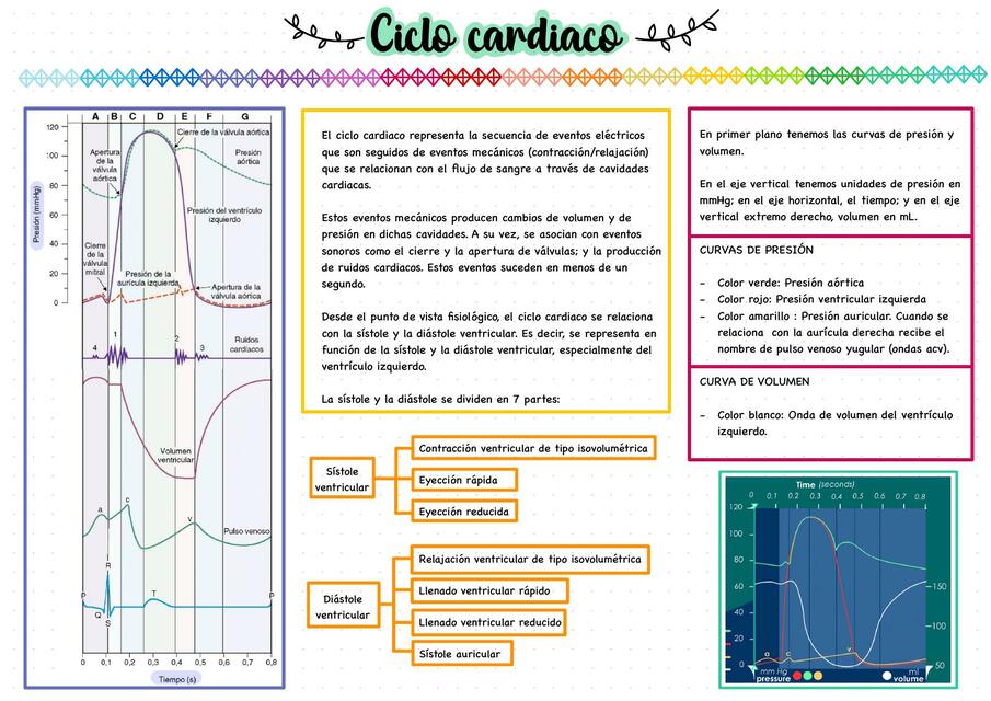 Ciclo cardiaco 