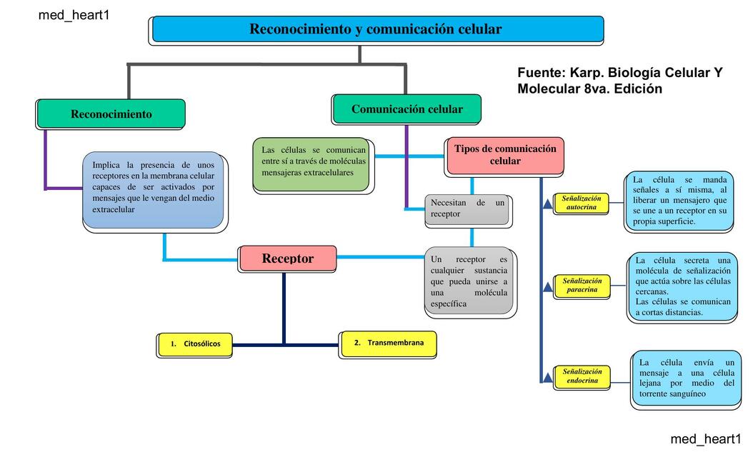 Reconocimiento y Comunicación Celular