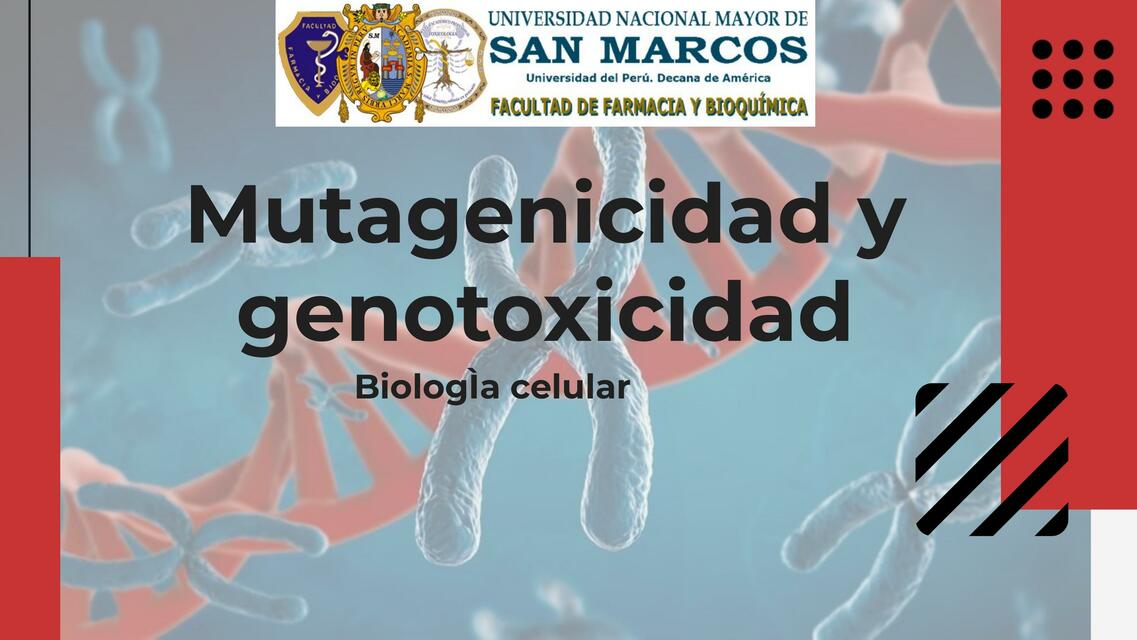 Mutagenicidad y Genotoxicidad-