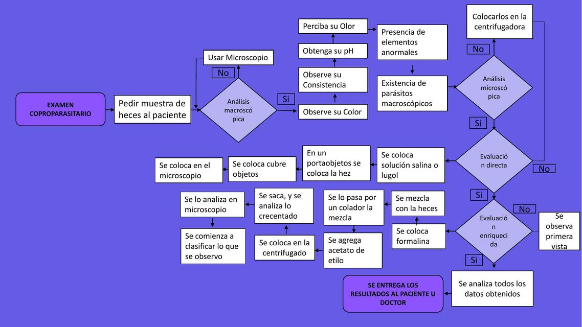 Examen Coproparasitario